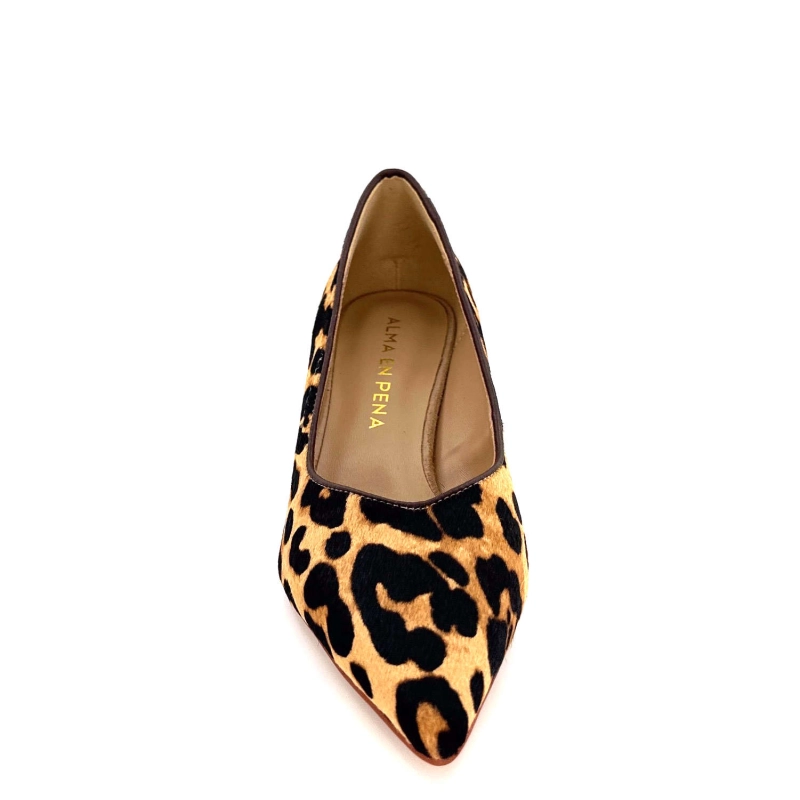 Alma en Pena 355 Léo 355 - CHICAGO - CAMEL Automne Hiver 2024-2025