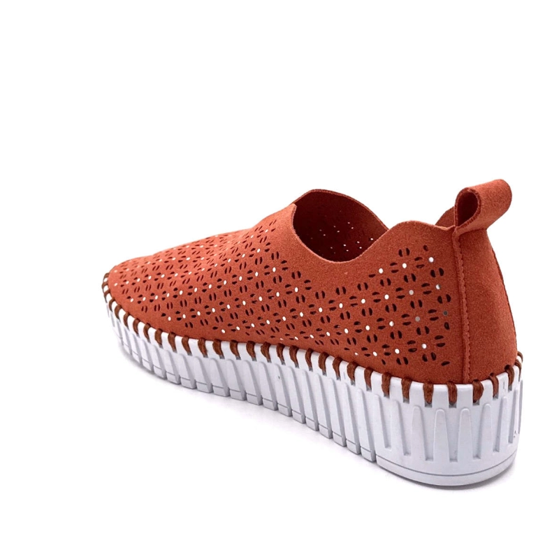 ag-9846 Ivoire Chaussures