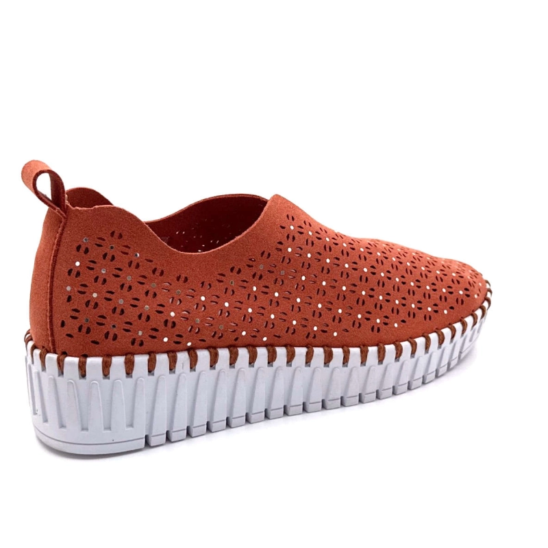 ag-9846 Ivoire Chaussures