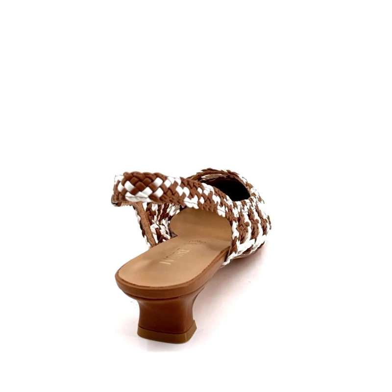 Ivoire 2354-2509 Marron & Blanc 2354-2509 - BROWN Printemps Eté 2025