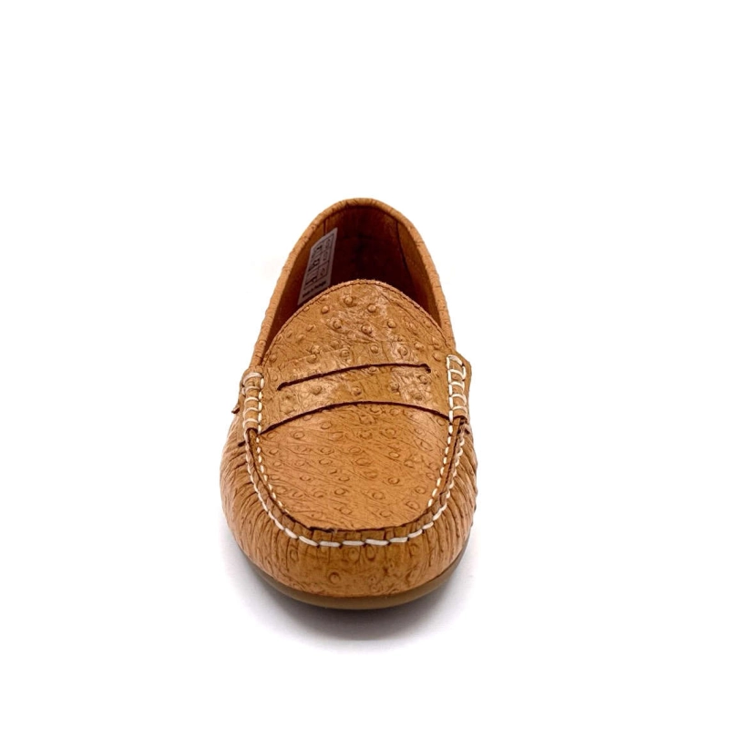 Ivoire Anilina Amalte Cuir Camel 10322 ANILINA AMALTE - 8536 CAME Printemps Eté 2025